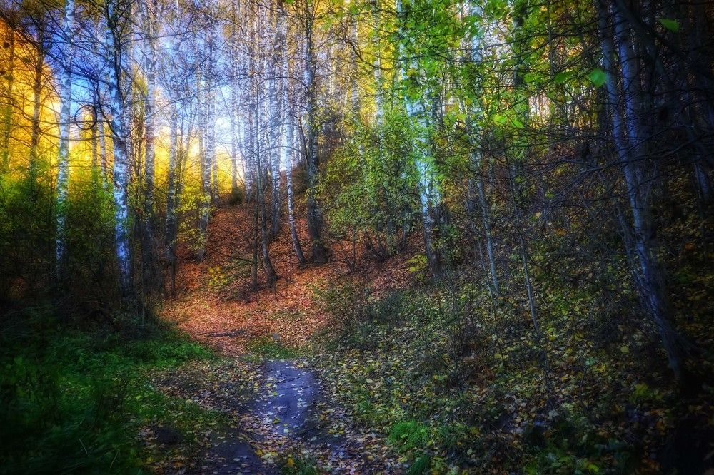 Photograph by Сергей Назаредский