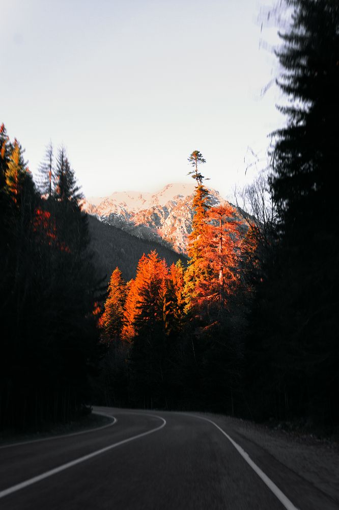 Photograph by Сергей Удовиченко