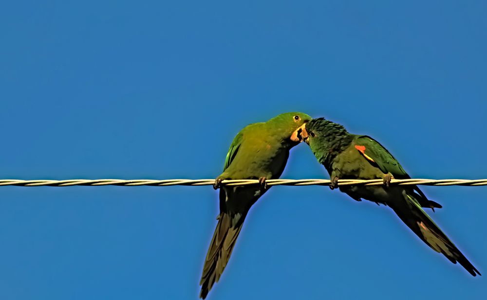 Фотография автора Márcia Cristina Machado
