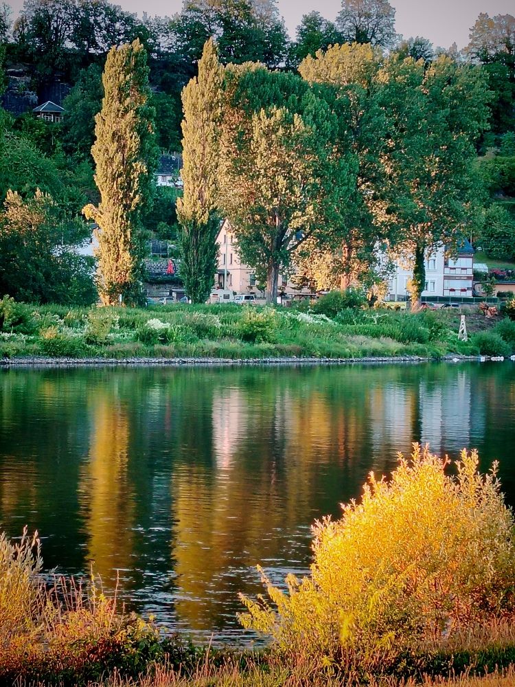 Саксонская палитра