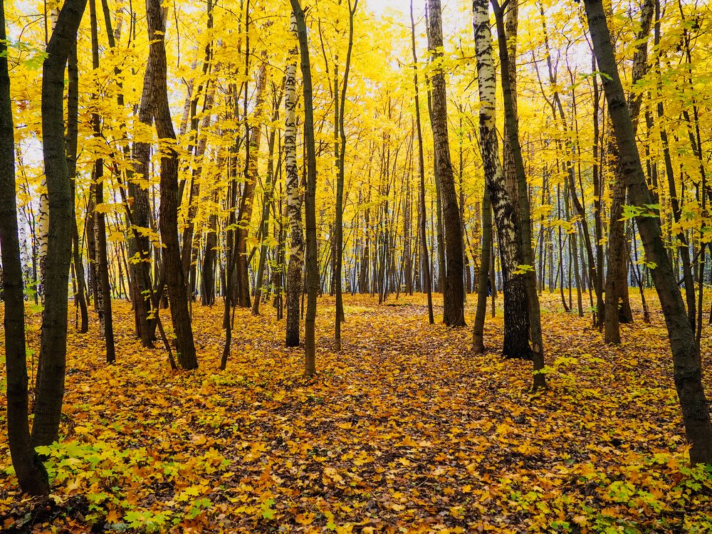 Photograph by Олег