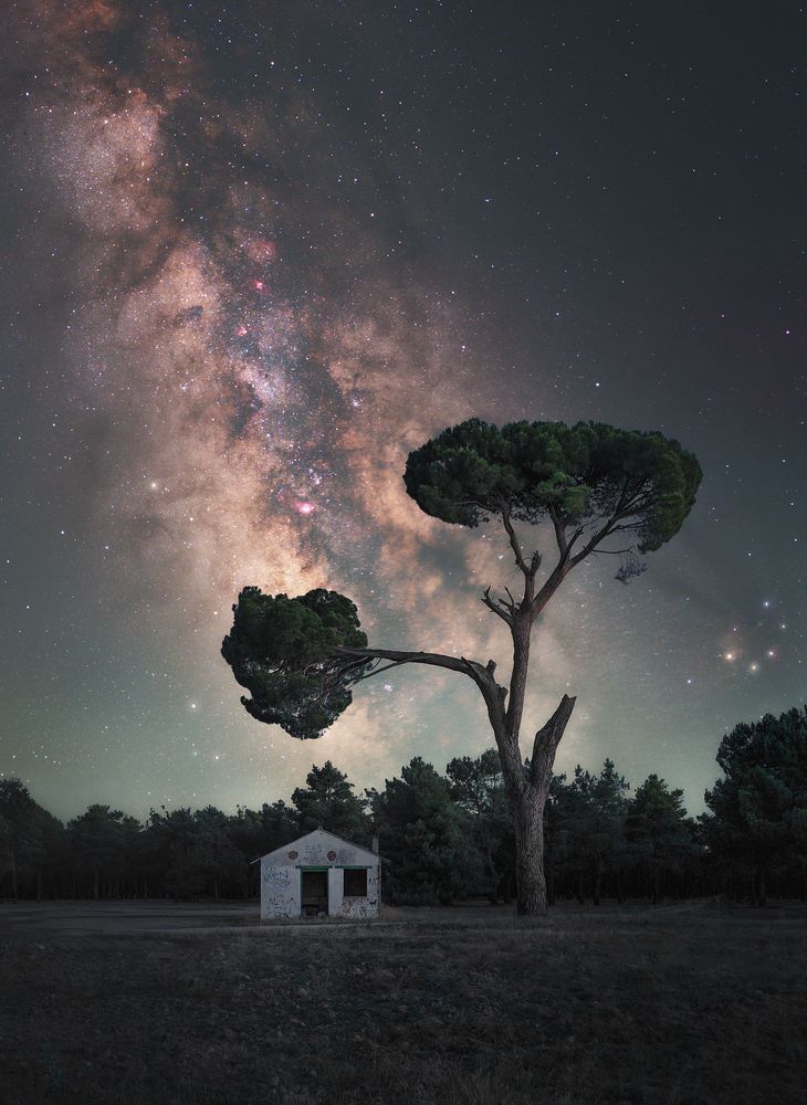 Photograph by Enjuto Garcia Javier