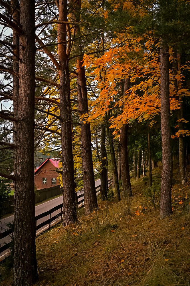 Photograph by Наталья Сергеева