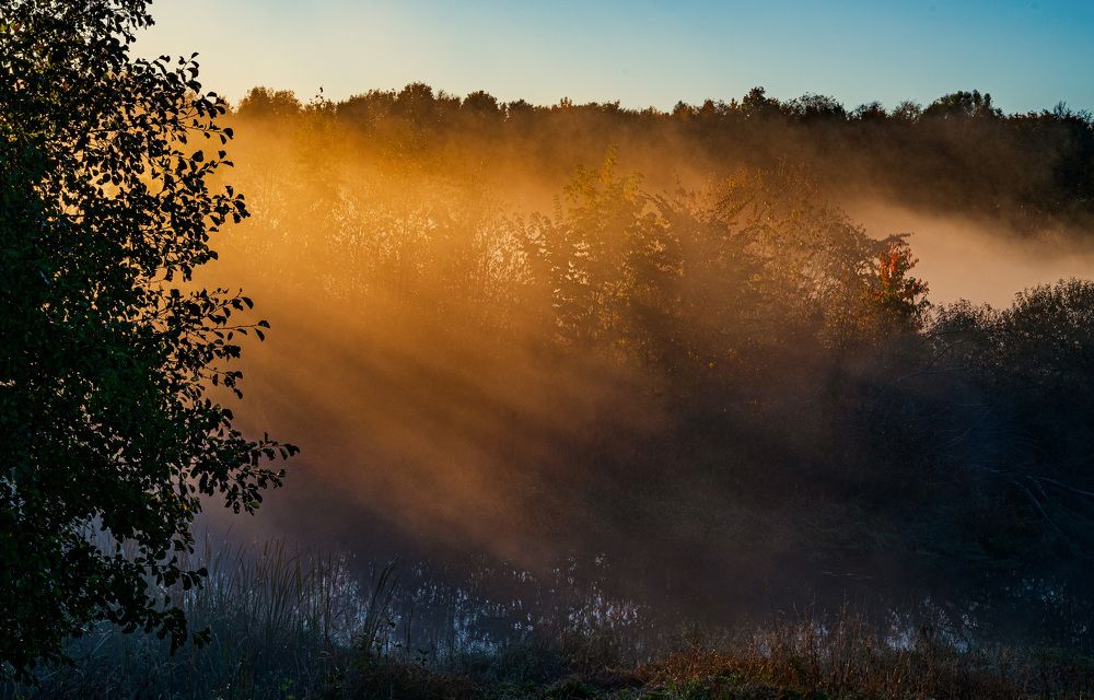 Фотография автора марина леоненко