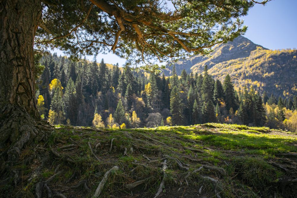 Фотография автора Игорь Белявцев