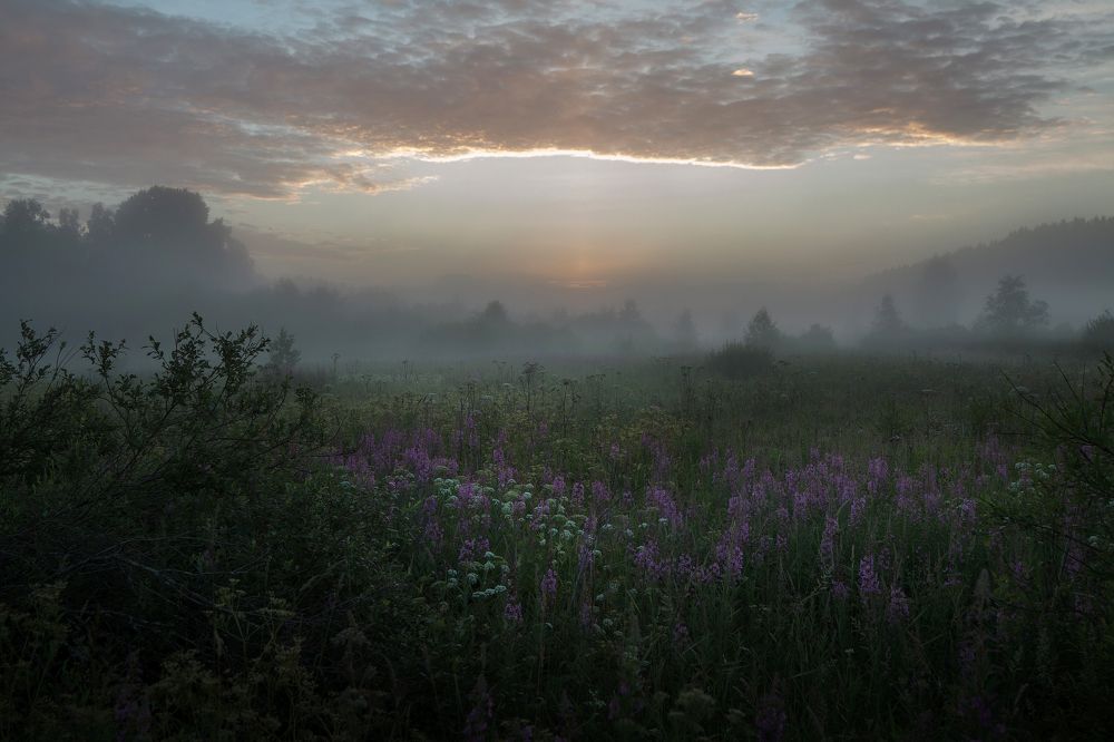 Photograph by Светлана Холодняк