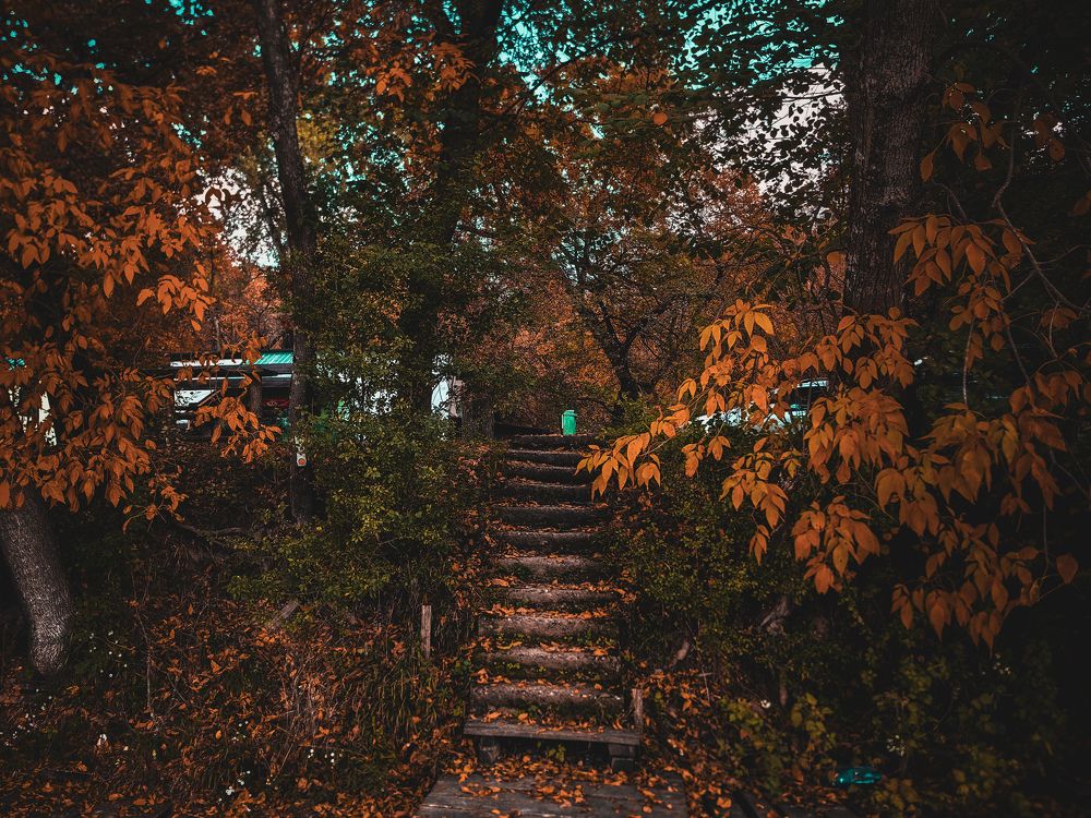 Photograph by Bojana Vein