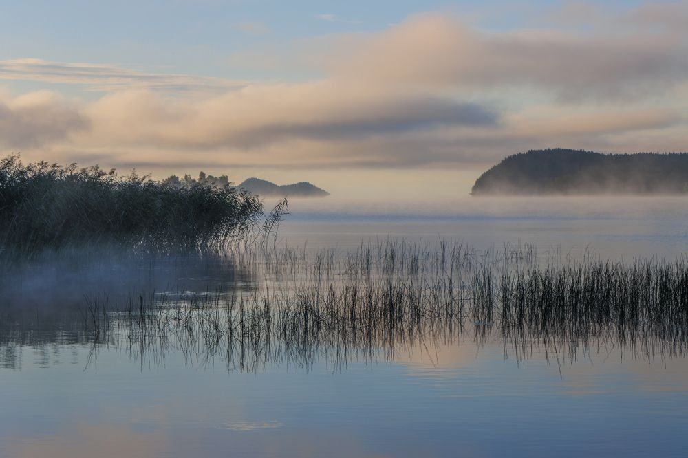 Photograph by Светлана Холодняк