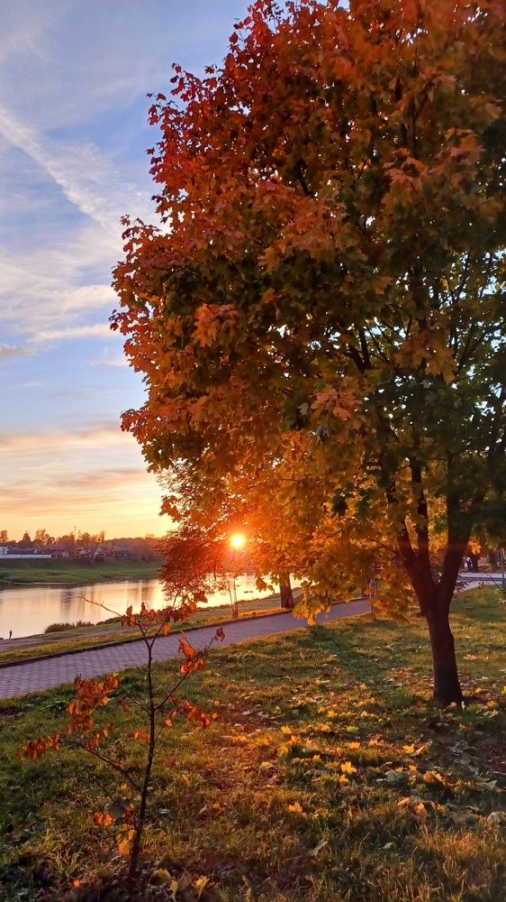 Photograph by Елена Воронова