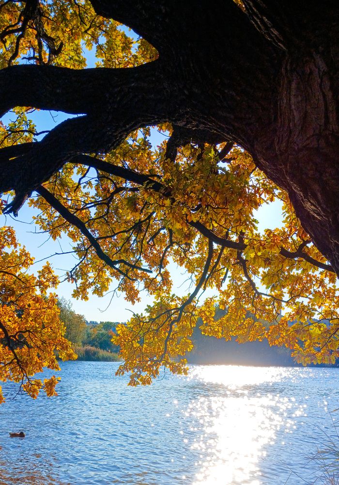 Фотография автора Valerya Vasileva