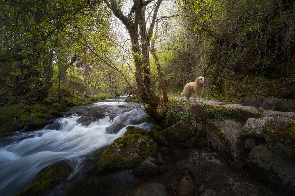 Фотография автора Enjuto Garcia Javier
