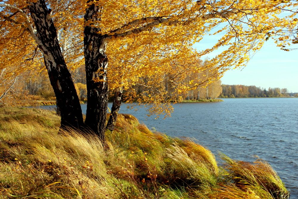 Фотография автора Nelya  Lysenko