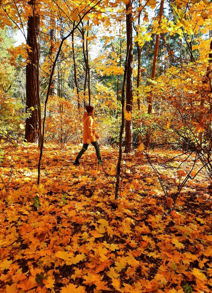 Photograph by Татьяна