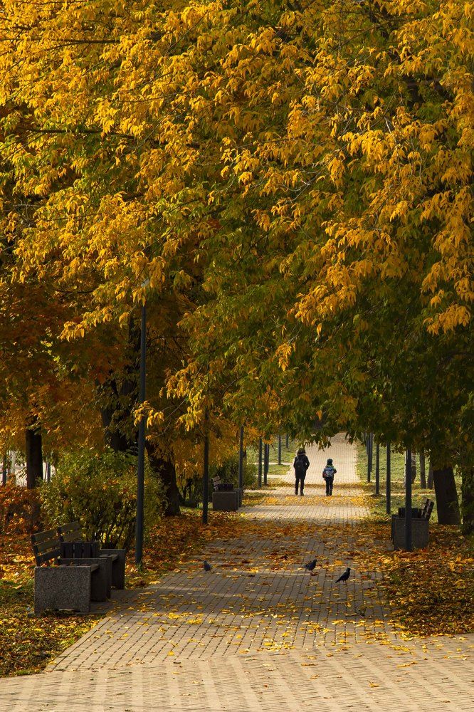 Photograph by Татьяна Мухлынина