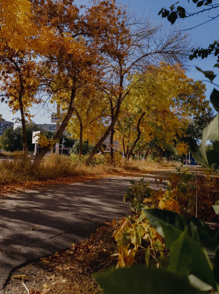 Photograph by Александра