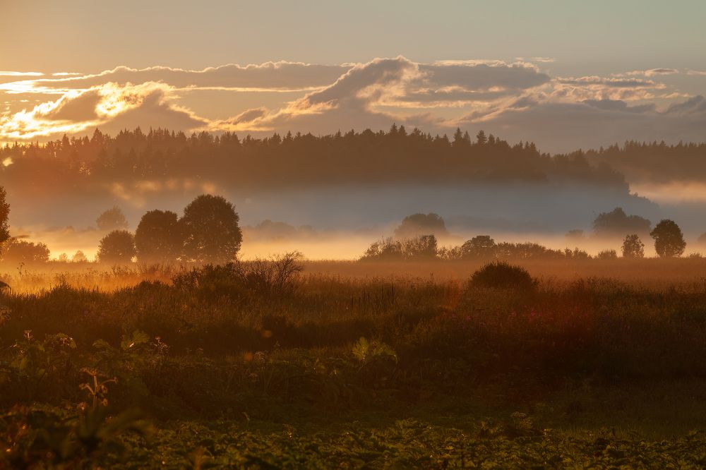 Photograph by Светлана Холодняк