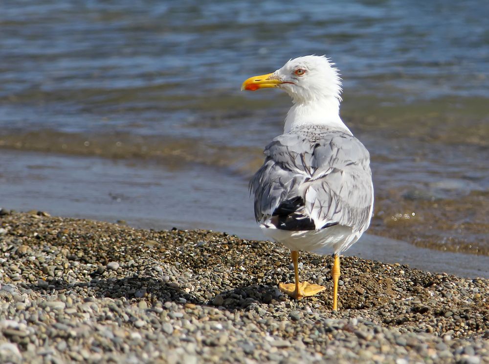 Photograph by Татьяна Феденкова