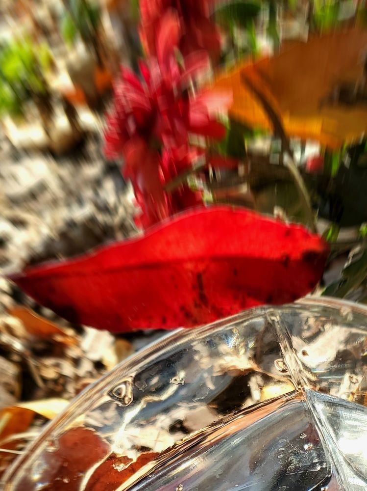 Photograph by Татьяна Пирс