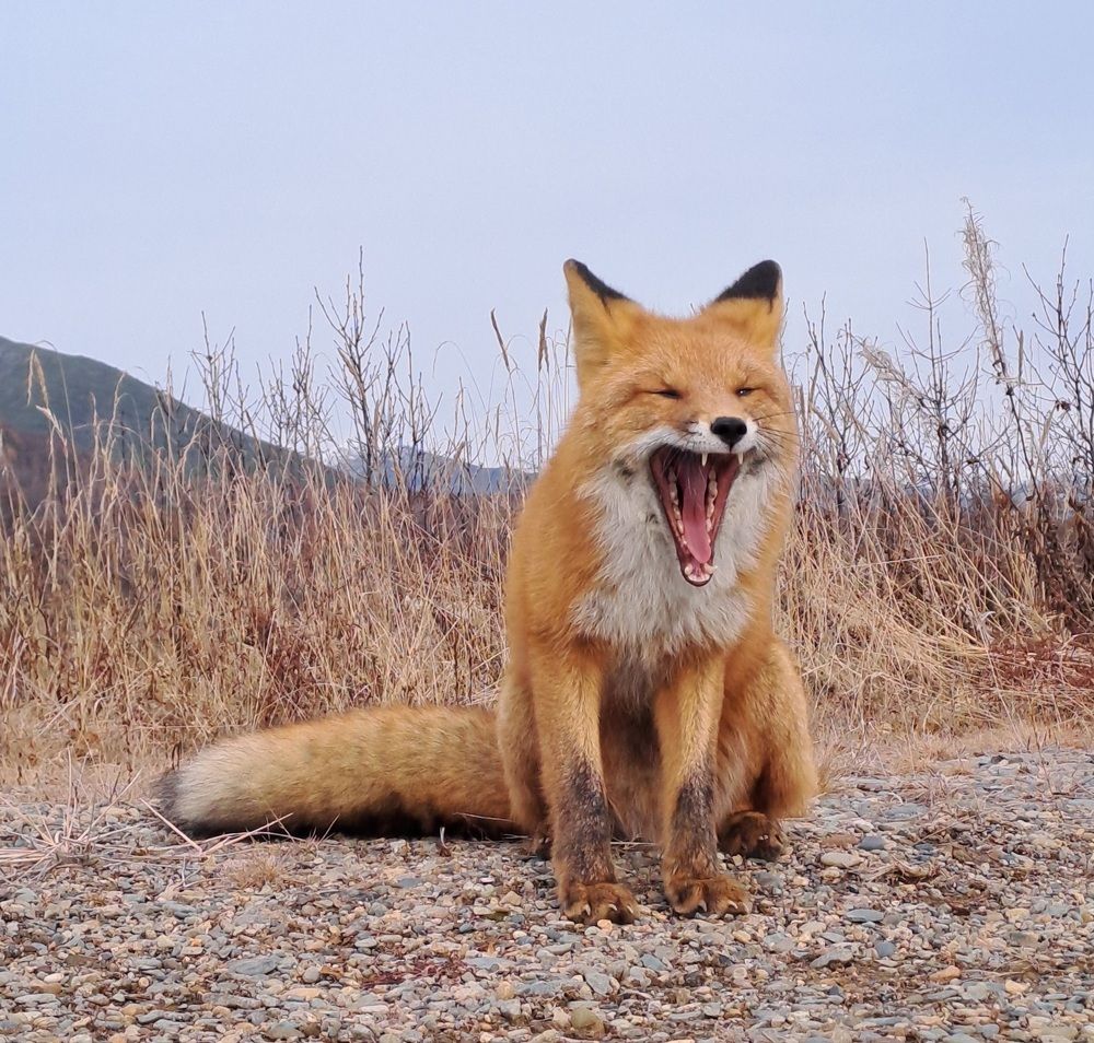 Photograph by Галина Проценко