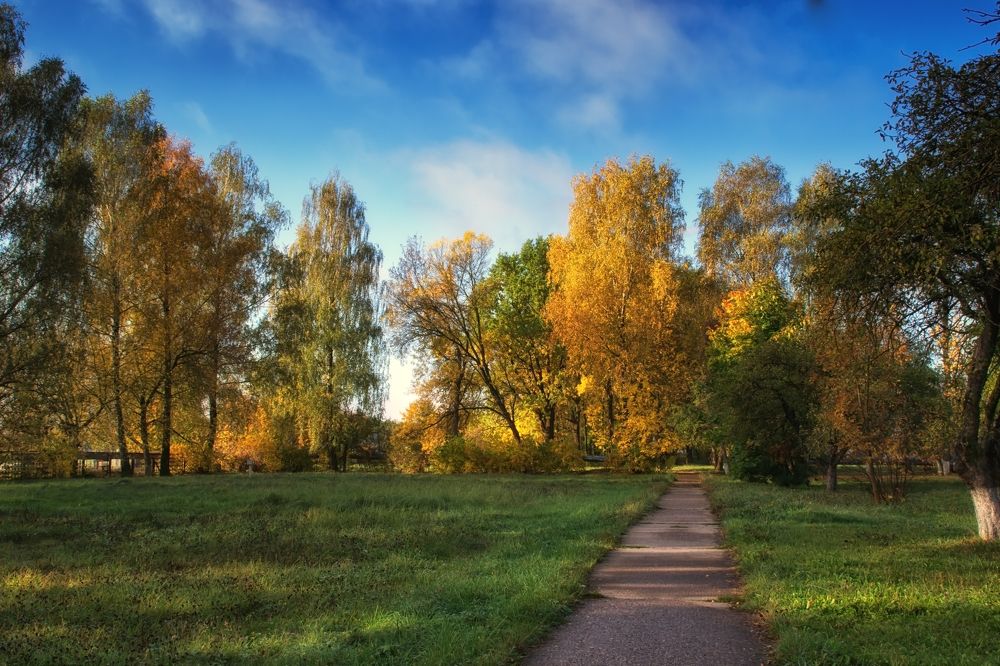 Фотография автора Юлия Кранина