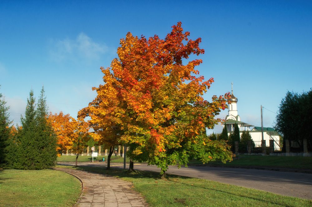 Фотография автора Юлия Кранина