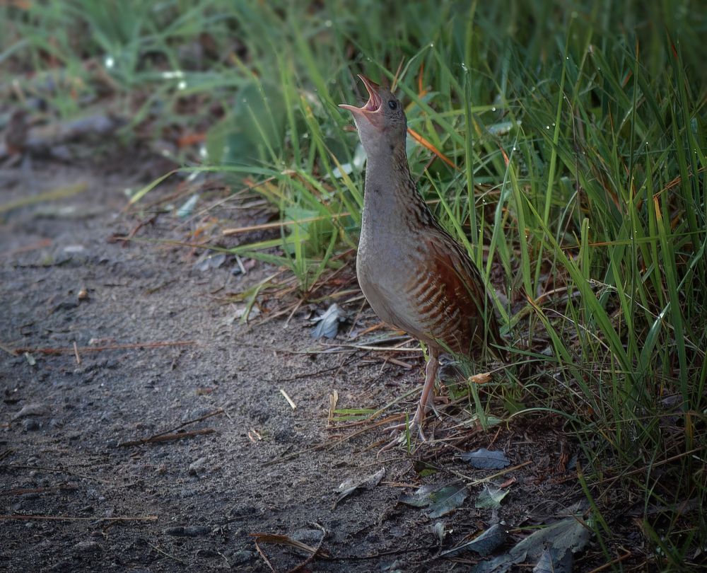 Photograph by Светлана Холодняк