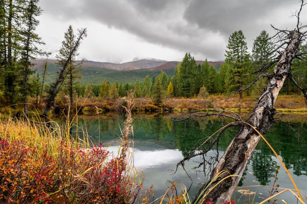 Photograph by Литунов Дмитрий