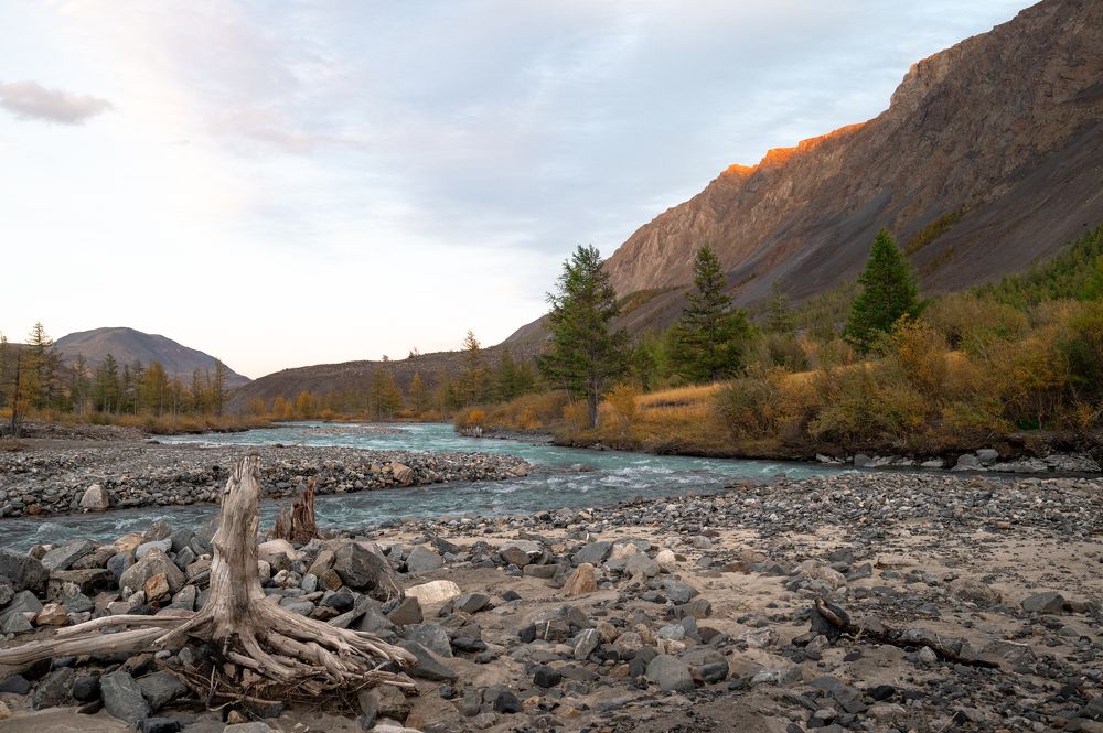 Photograph by Литунов Дмитрий