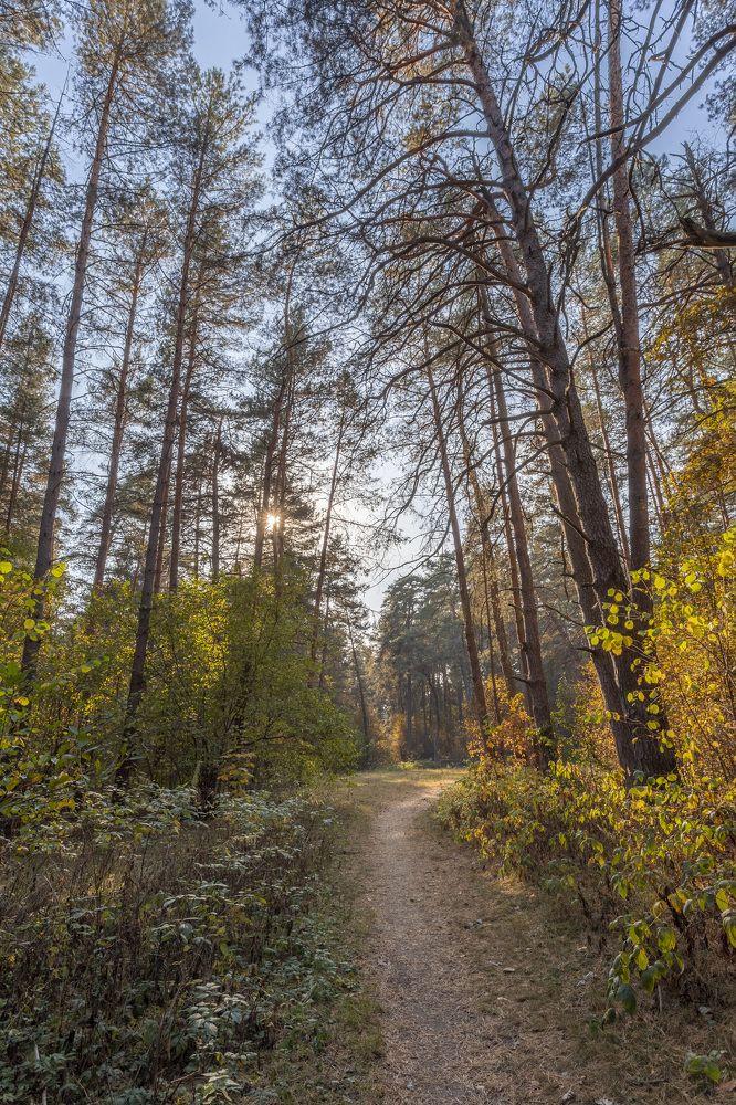 Photograph by Герман Корнеев