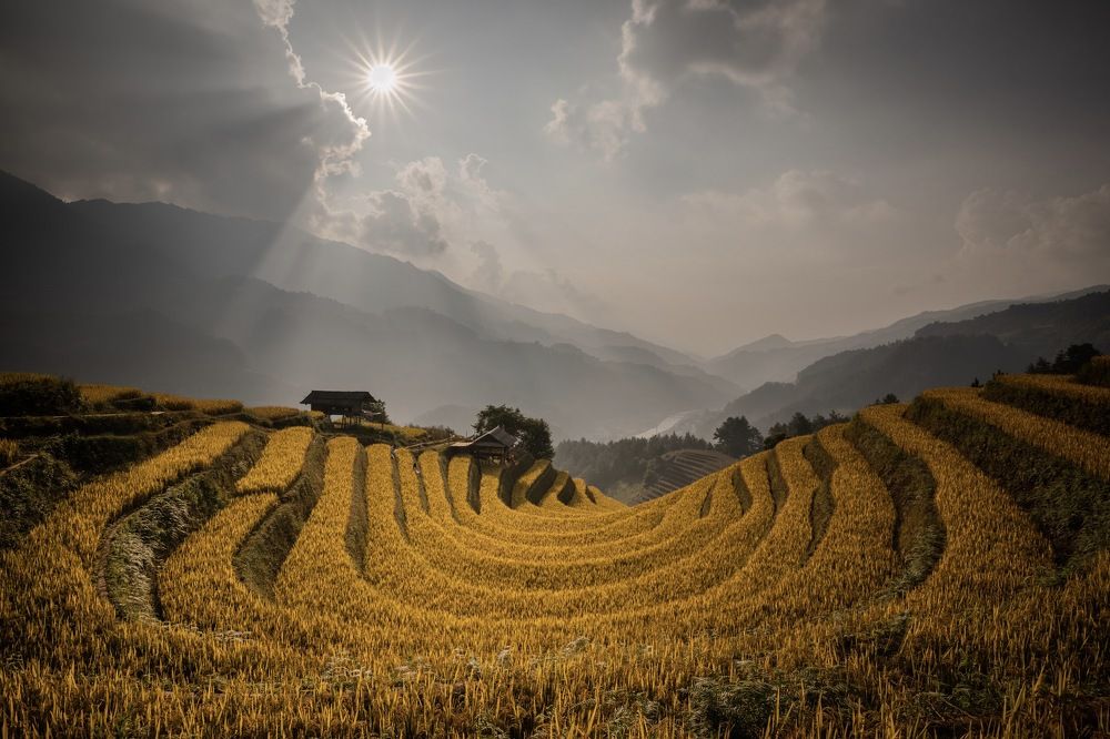 Photograph by Nguyen Thi Chieu Xuan