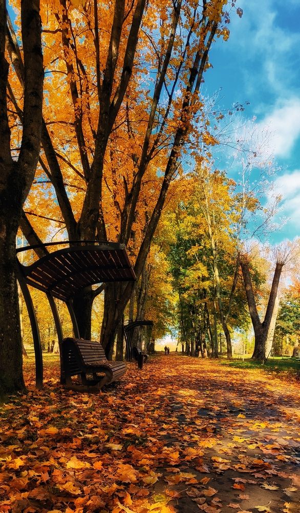 Photograph by Евгений Белов