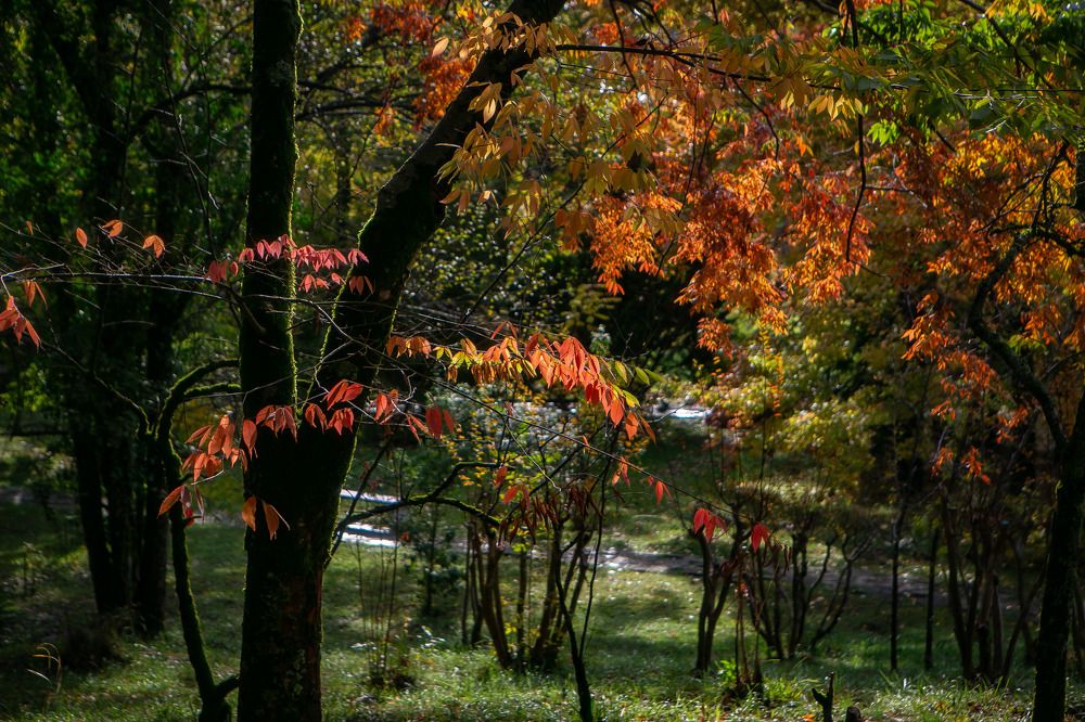 Photograph by Очева Наталья Александровна