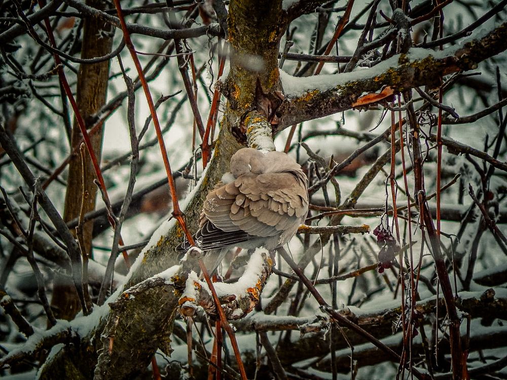 Photograph by Наталья Лищинская