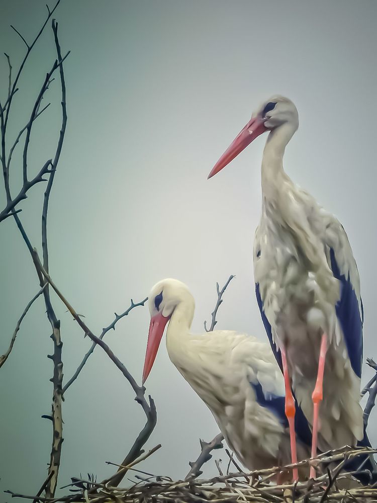 Photograph by Наталья Лищинская