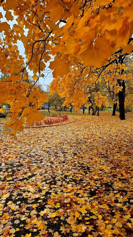 Photograph by Игорь Семеновский