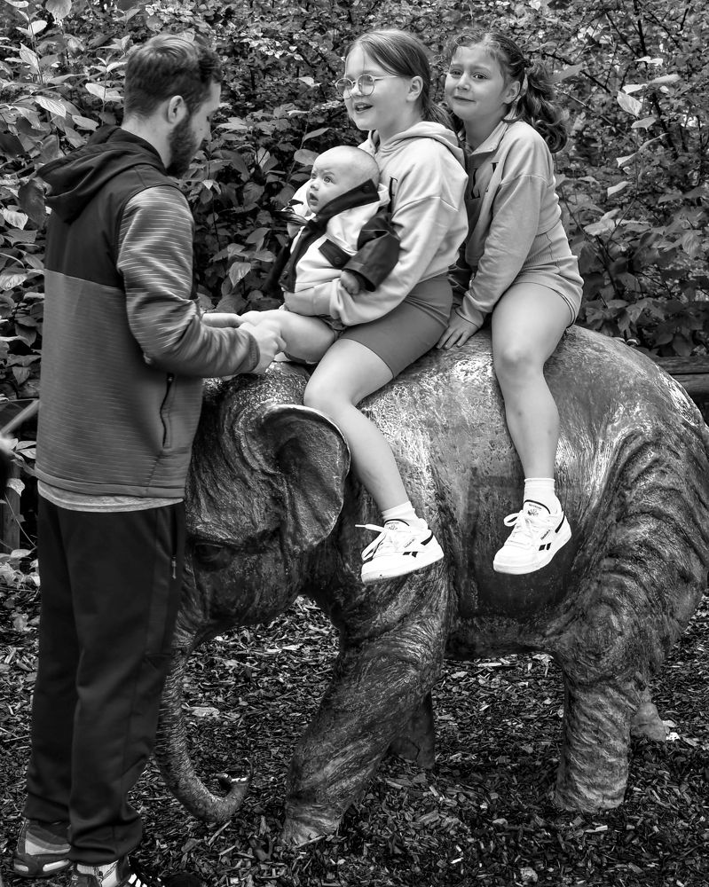 Photograph by Balcetis Audrius