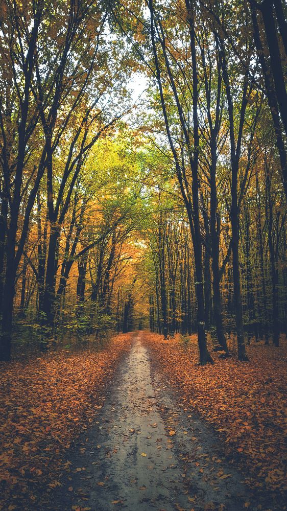 Photograph by Наталья Лищинская