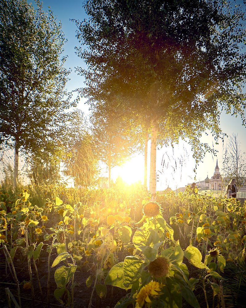 Photograph by Кирилл Лебедев