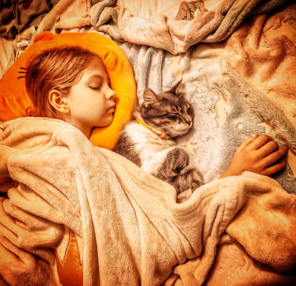 Фотография автора Alexander Titov