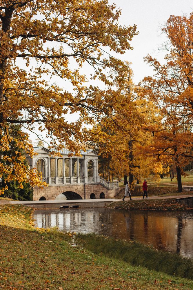 Photograph by Виктория Трач