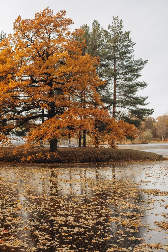 Photograph by Виктория Трач