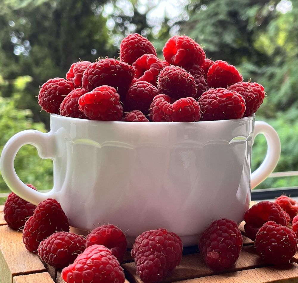 Photograph by Наталья Макарова