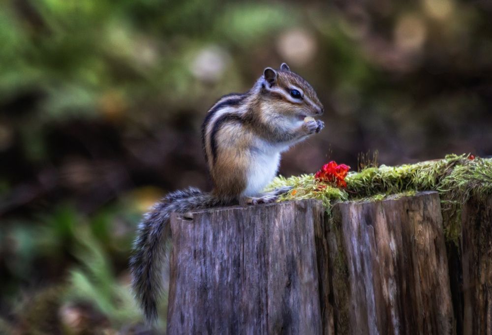 Photograph by Глухарёва Ольга