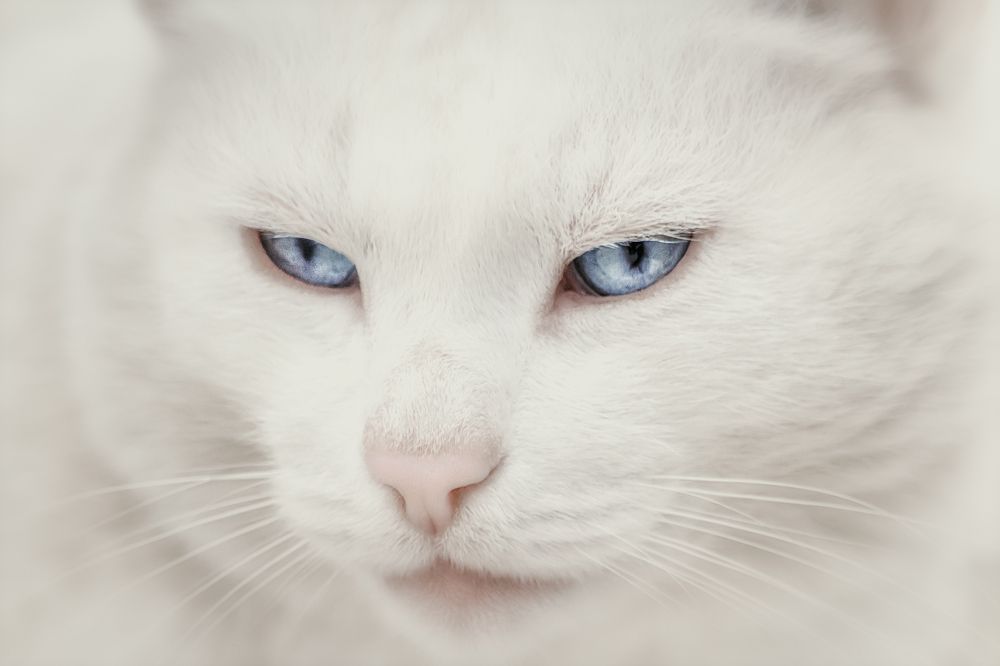 Photograph by Глухарёва Ольга