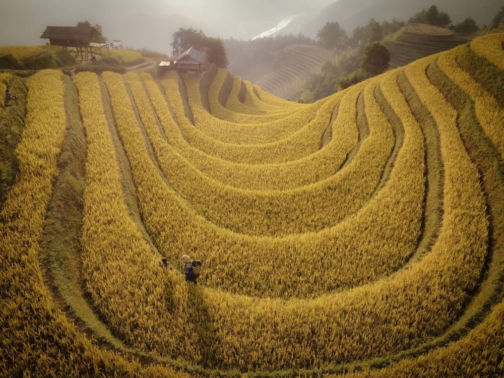 Photograph by Kevin Nguyen