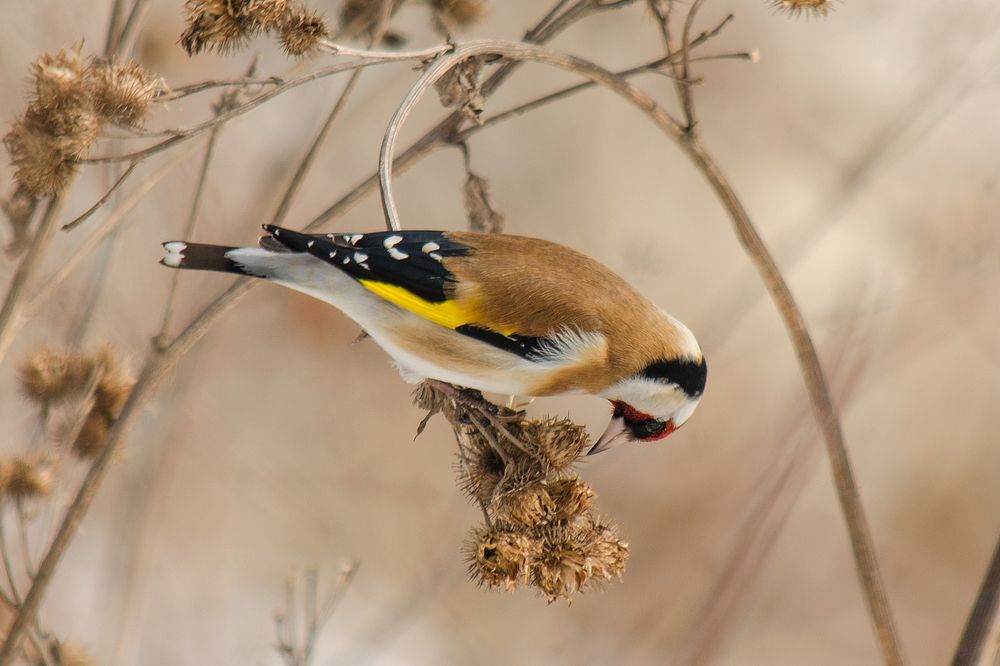 Photograph by Сергей Немчинов