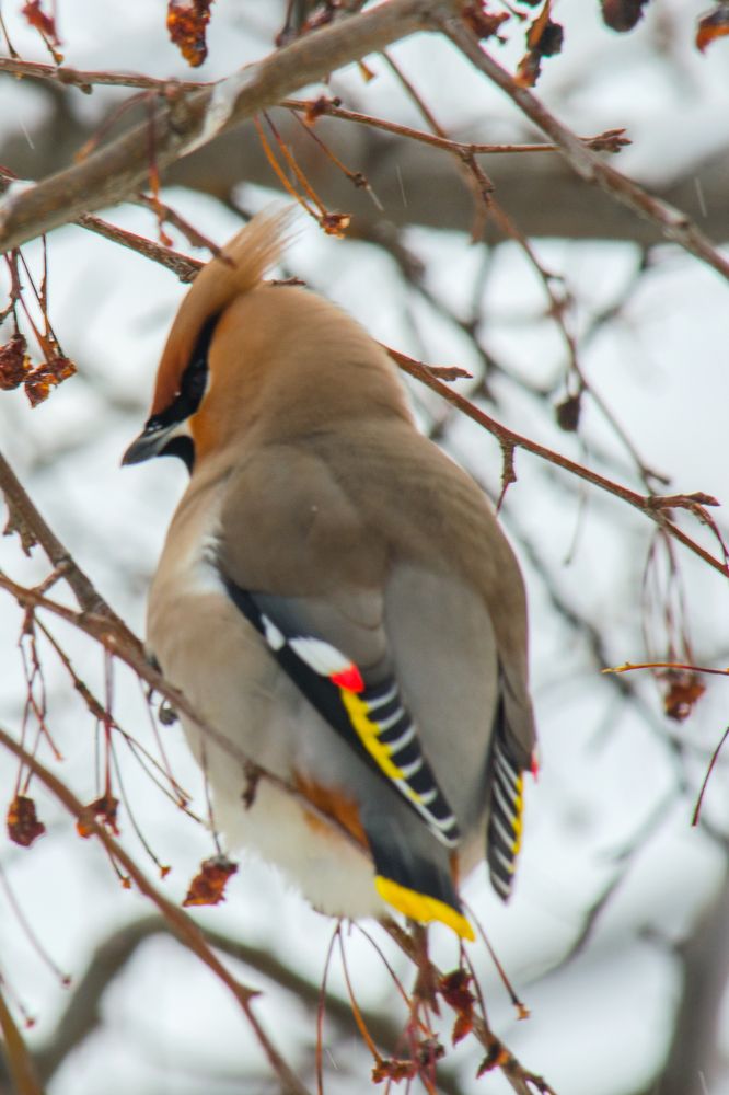 Photograph by Сергей Немчинов