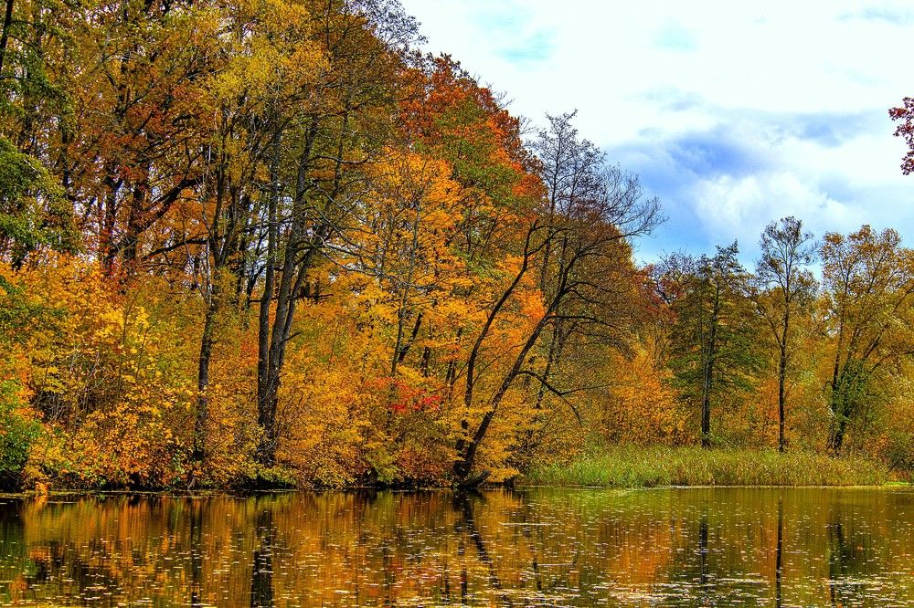 Photograph by Сиваков Алексей