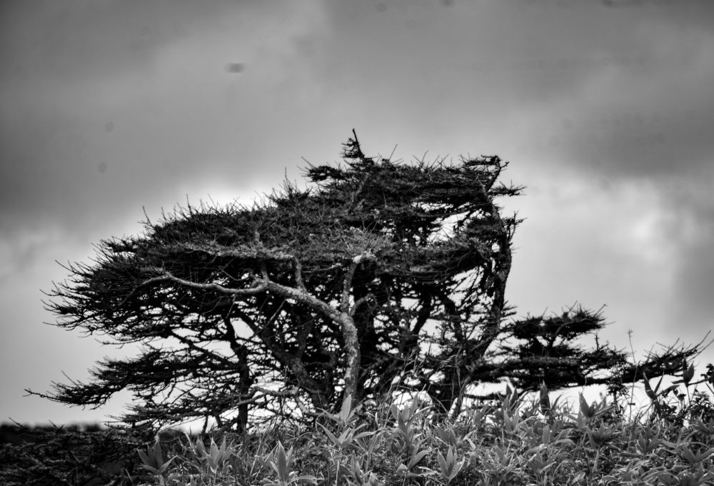 Photograph by Yrii Usoltsev