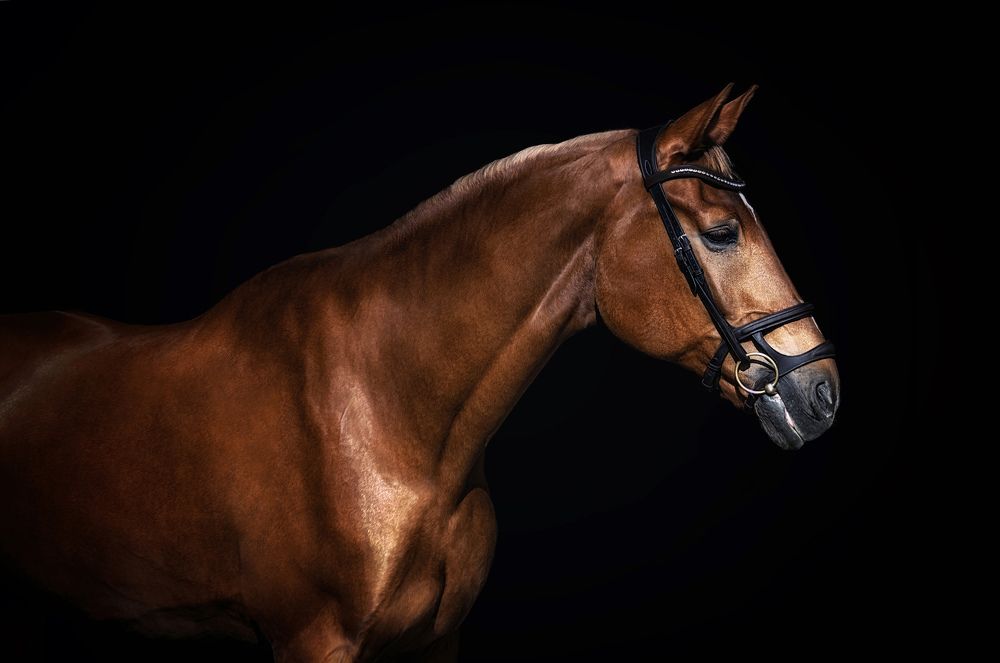 Photograph by Глухарёва Ольга